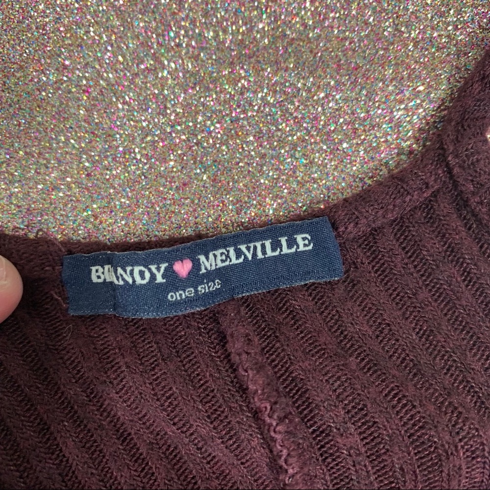 ‼️Brandy Melville Ribbed Cropped tank ‼️ - Picture 8 of 8